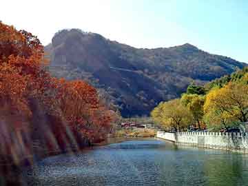 澳门精准正版免费大全14年新，莱芜市